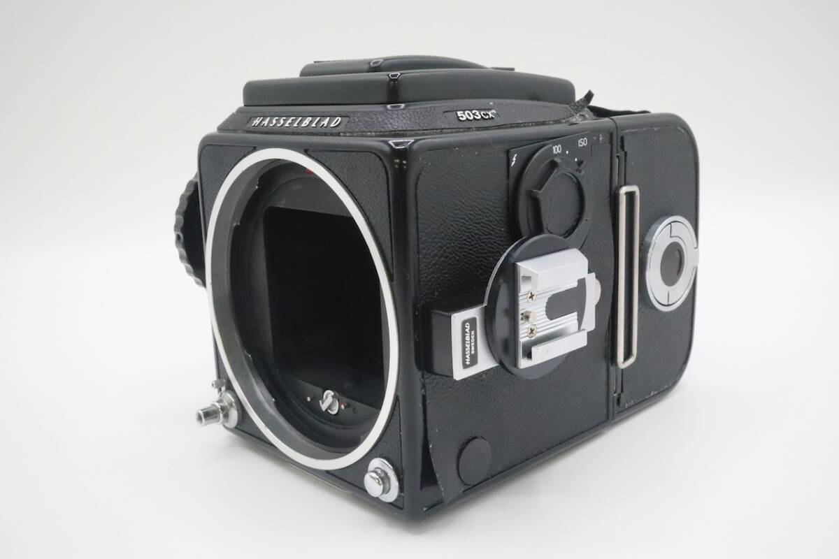 Hasselblad ハッセルブラッド 中判カメラ 503CX ボディ 12枚マガジンの画像5