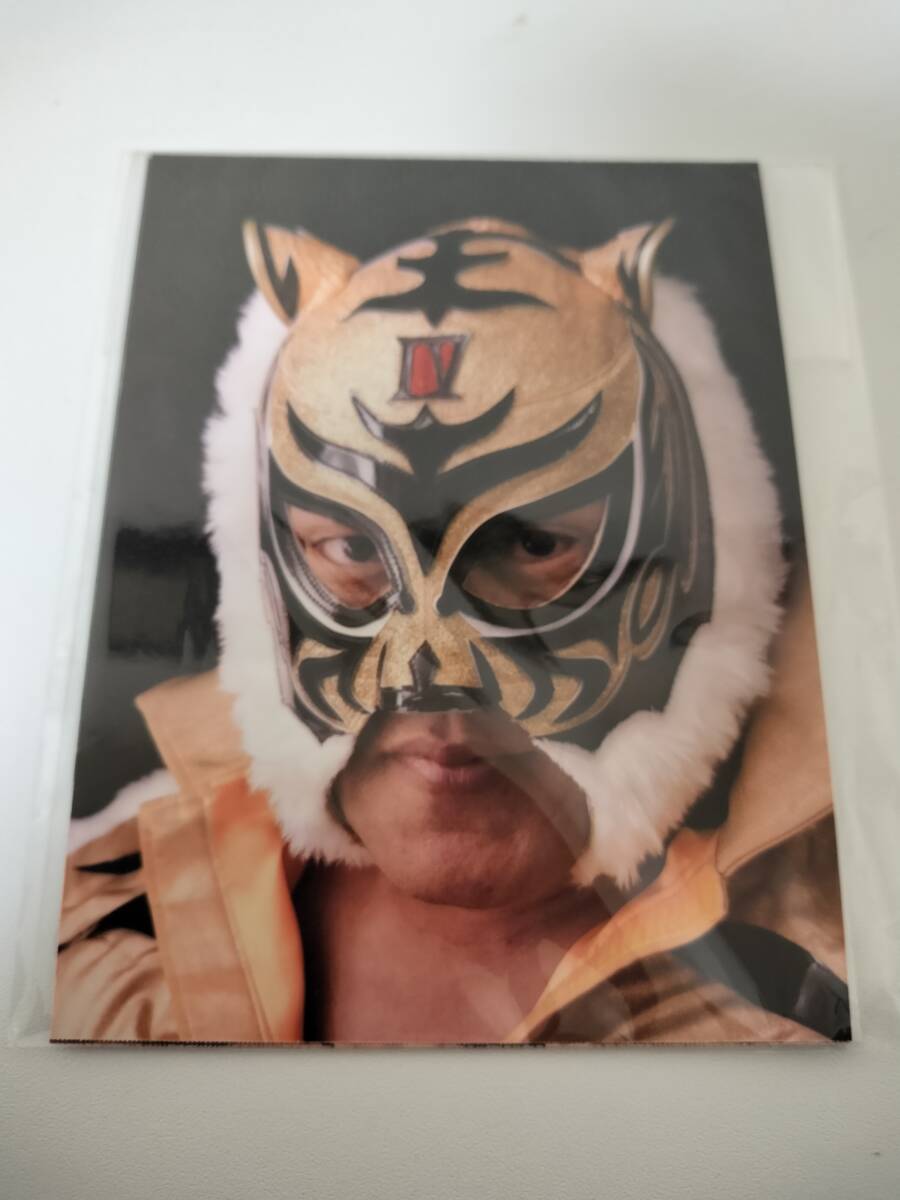  Tiger Mask сам использованный .