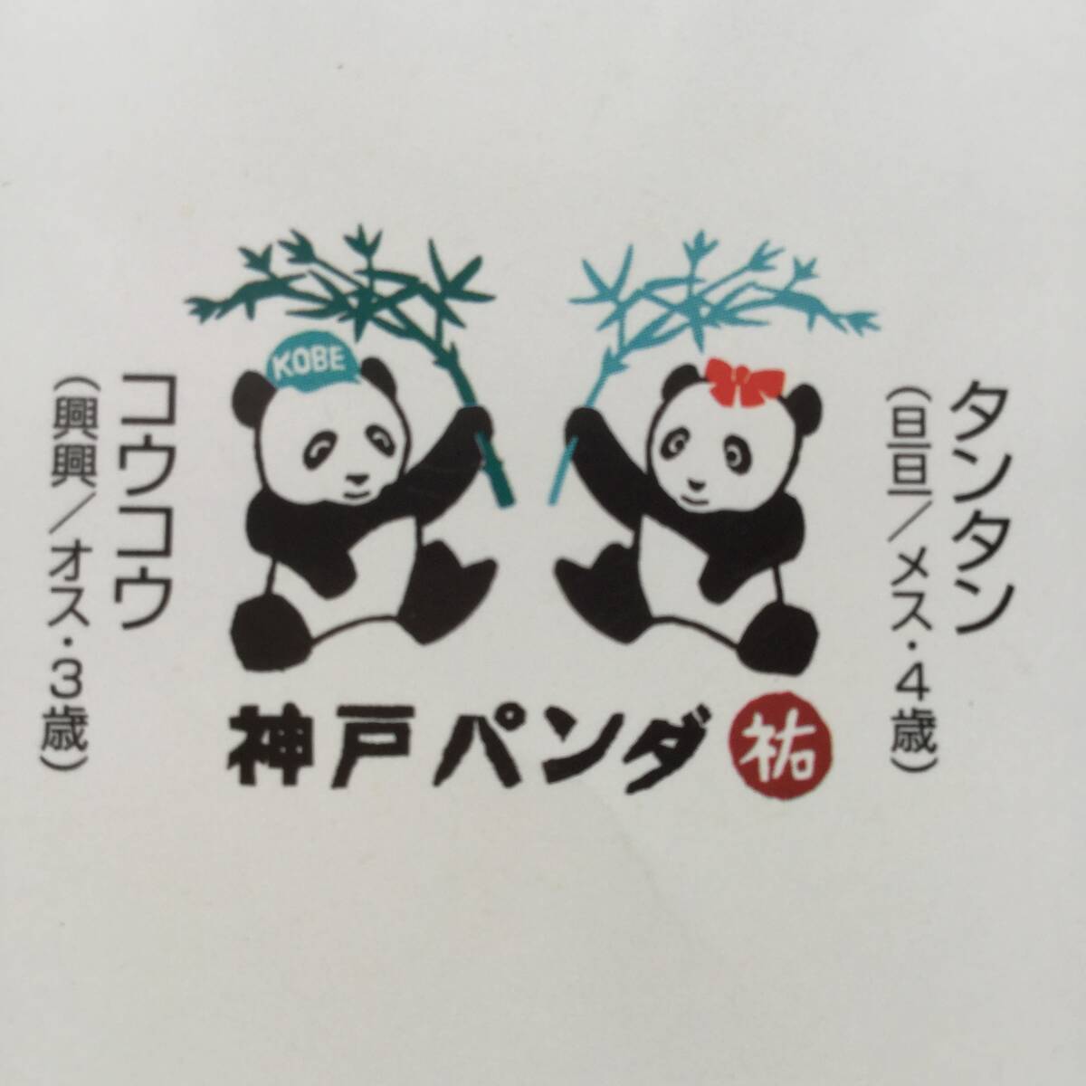 ☆タンタン☆ タンタン＆コウコウ ポストカード ５枚セット 【王子動物園 パンダ】の画像8