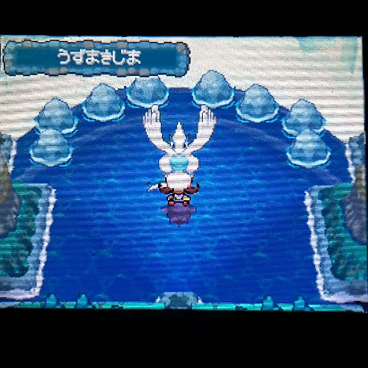 ポケットモンスター ポケモン ソウルシルバー DS ソフト ケース