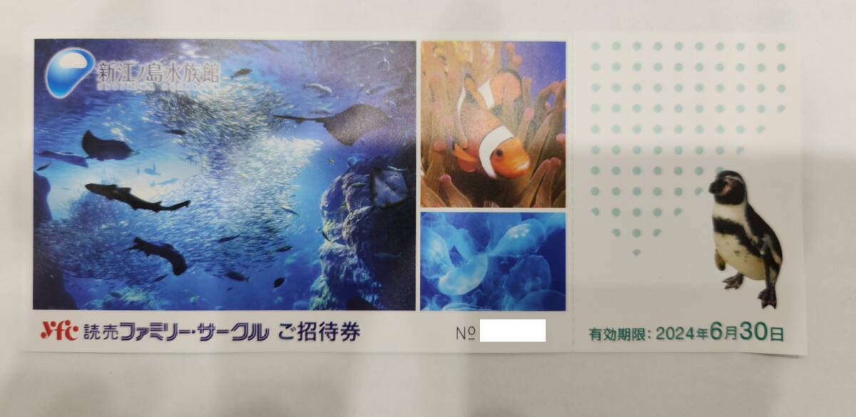 激安1円～【大黒屋】d 最新 新江ノ島水族館 ご招待券 2枚セット 未使用 有効期限2024年6月30日までの画像2