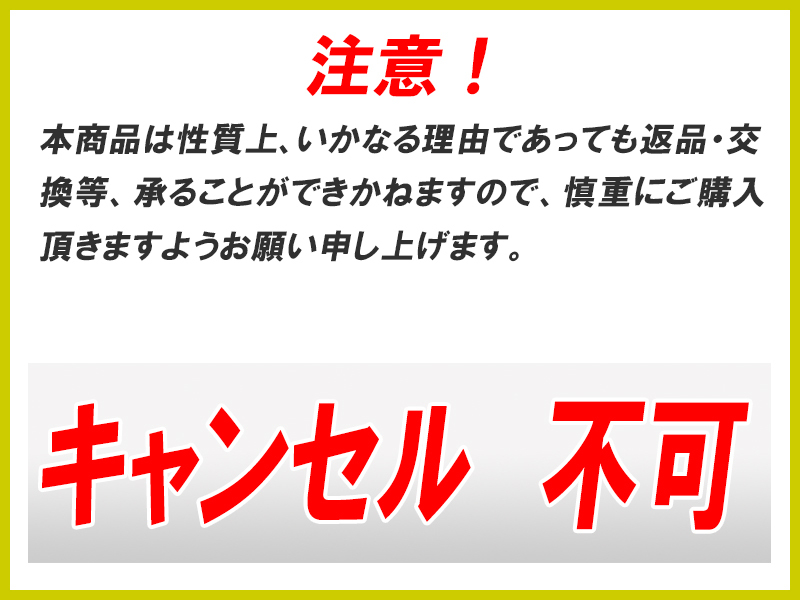 犬用 猫用 食器台 フードボウル 食器 ステンレス皿 犬食器 猫食器 食べやすい フードボウルスタンド 高さ 傾斜 台 ダブル PT10-01N-2_画像10