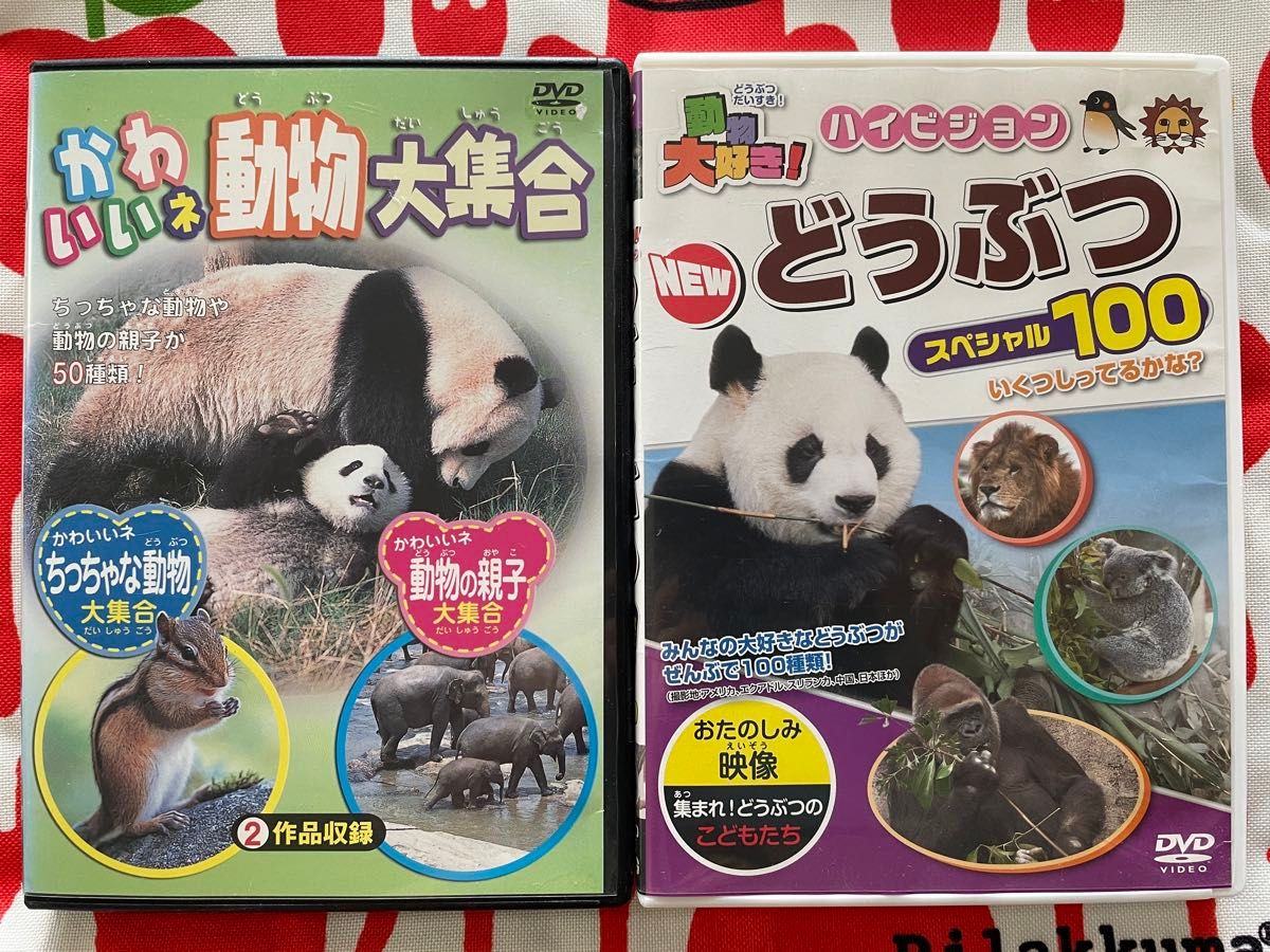 動物 DVD 中古 2枚セット