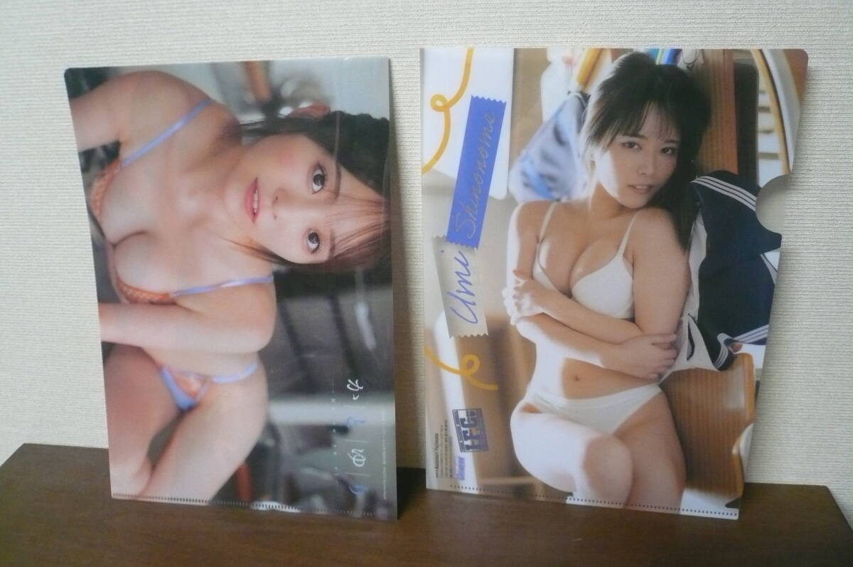 雑誌付録　南みゆか　東雲うみ　かといり　篠崎こころ他　クリアファイル　DVD_画像3