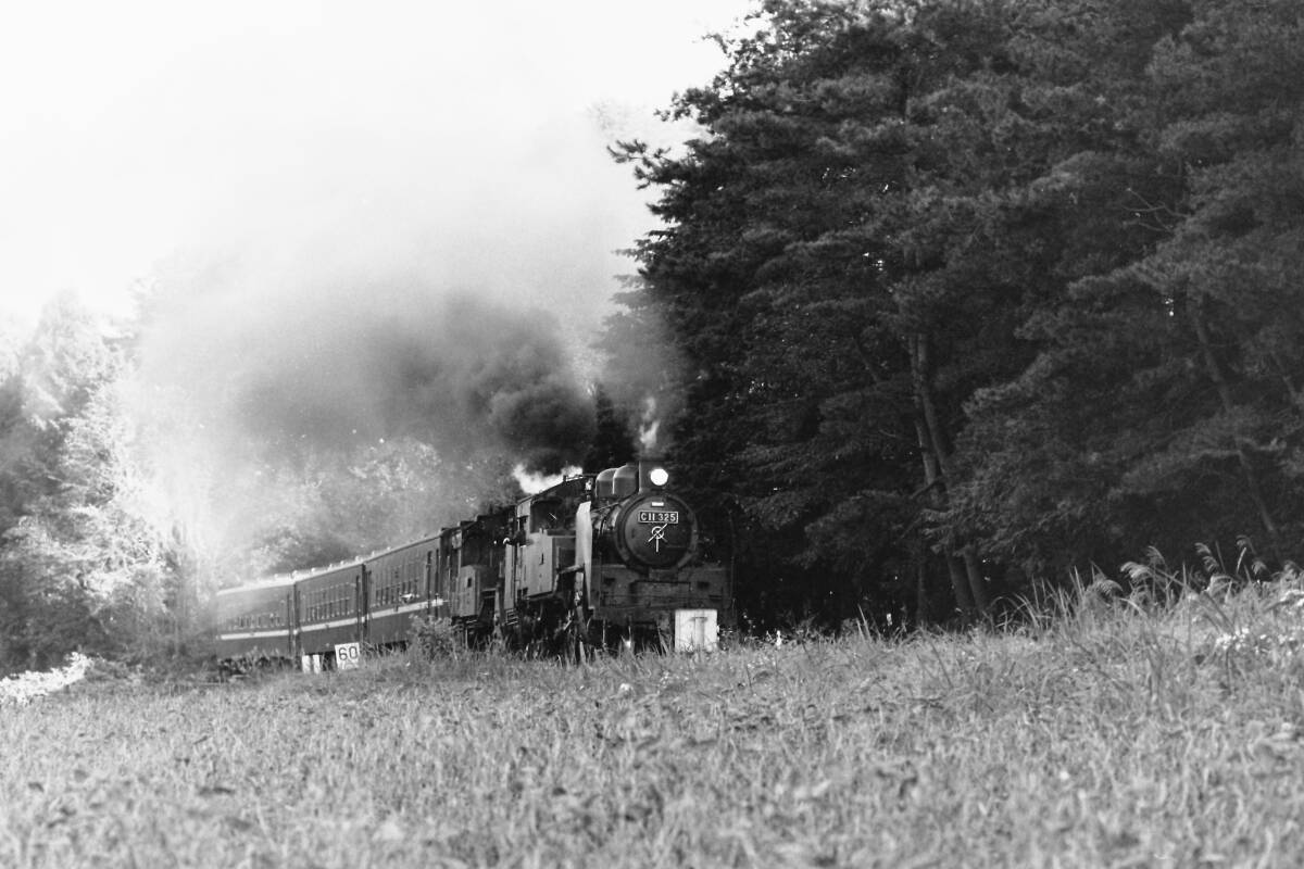 (B23)929 写真 古写真 鉄道 鉄道写真 真岡鉄道 真岡鐵道 蒸気機関車 C1266 C11325 ゆとり号 フィルム ネガ まとめて 25コマ SLの画像7