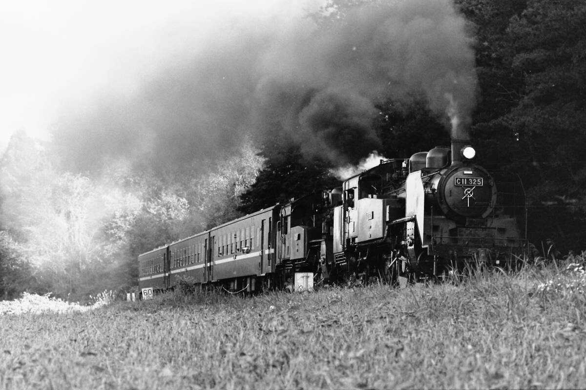 (B23)929 写真 古写真 鉄道 鉄道写真 真岡鉄道 真岡鐵道 蒸気機関車 C1266 C11325 ゆとり号 フィルム ネガ まとめて 25コマ SLの画像8