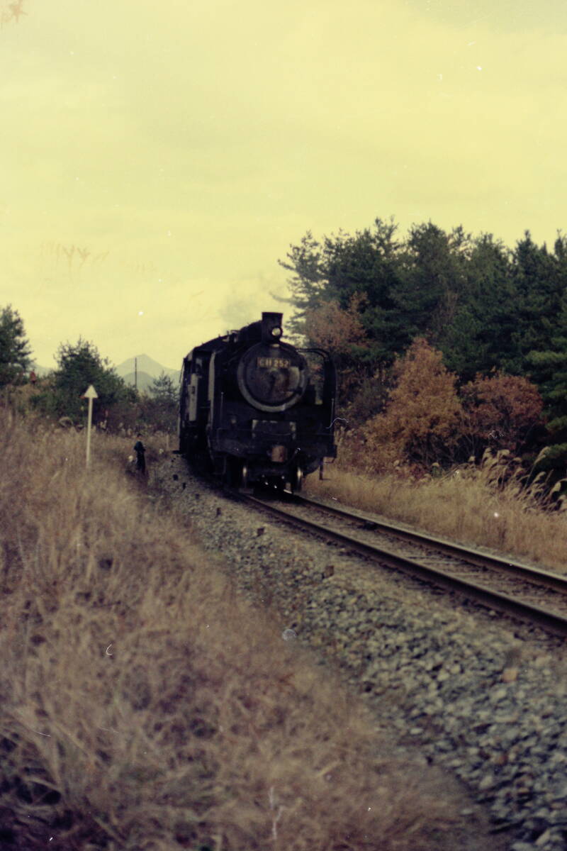 (B23)928 photograph old photograph railroad railroad photograph .. line steam locomotiv C57156 C5794 other Showa era 45 year 12 month 11 day groove .- luck cape film nega together 31 koma 