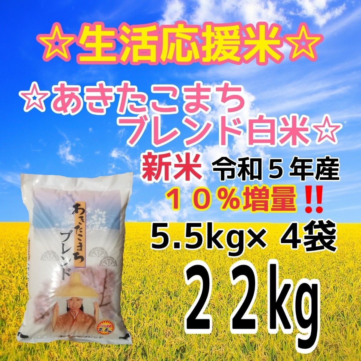 ★生活応援１０％(２kg)増量★令和５年産秋田県産あきたこまち５０％使用 ｢あきたこまちブレンド白米｣合計（２２kg）送料込み★