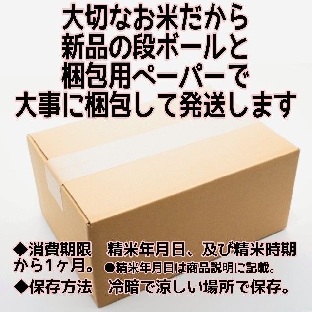 ★生活応援１０％(１kg)増量★令和５年産秋田県産あきたこまち５０％使用 ｢あきたこまちブレンド白米｣合計（１１kg）送料込み★