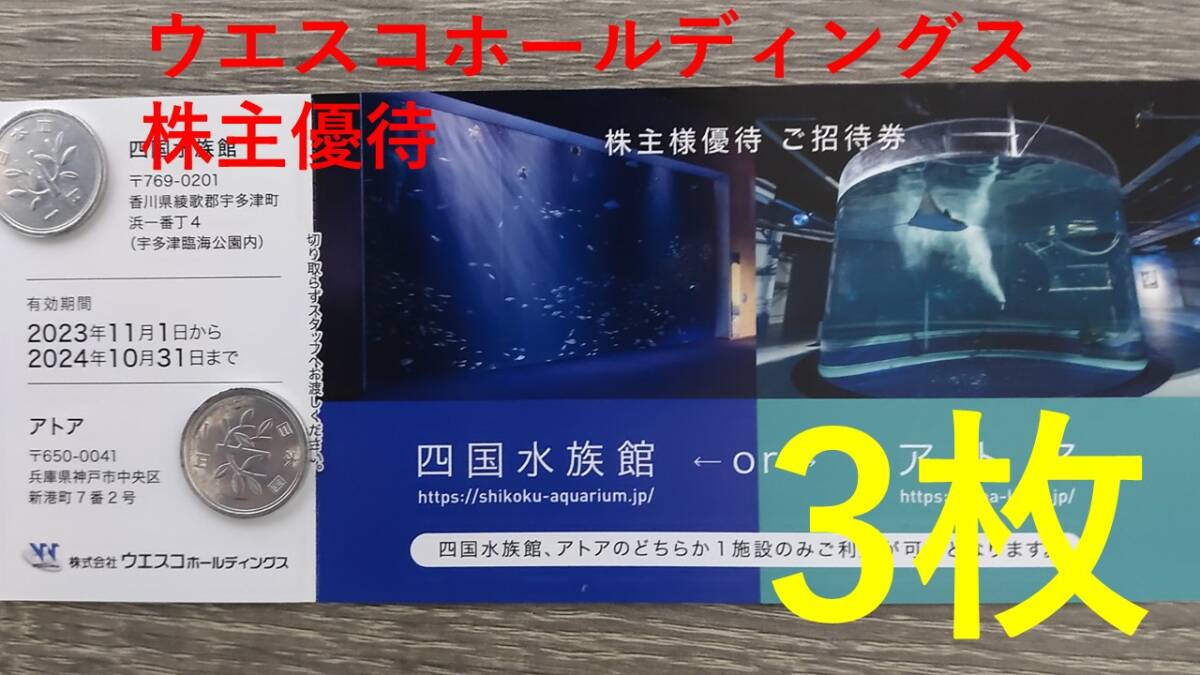 [3 листа] акционер Wesco Holdings 3 штуки 3 листа Ata Aquarium Shikoku Aquarium