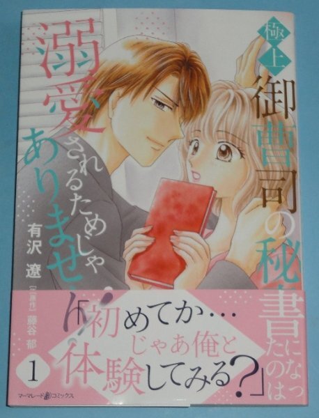 4/18新刊）マーマレードコミックス『極上御曹司の秘書になったのは溺愛されるためじゃありません！　１巻』有沢遼_画像1