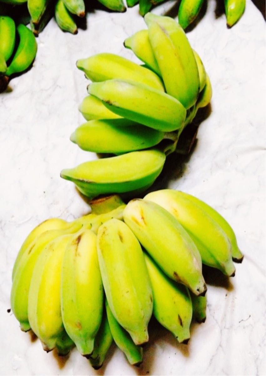 キングオブバナナ！バナナの王様！！沖縄産ナムワバナナ農薬不使用！コンパクトでお届け！！