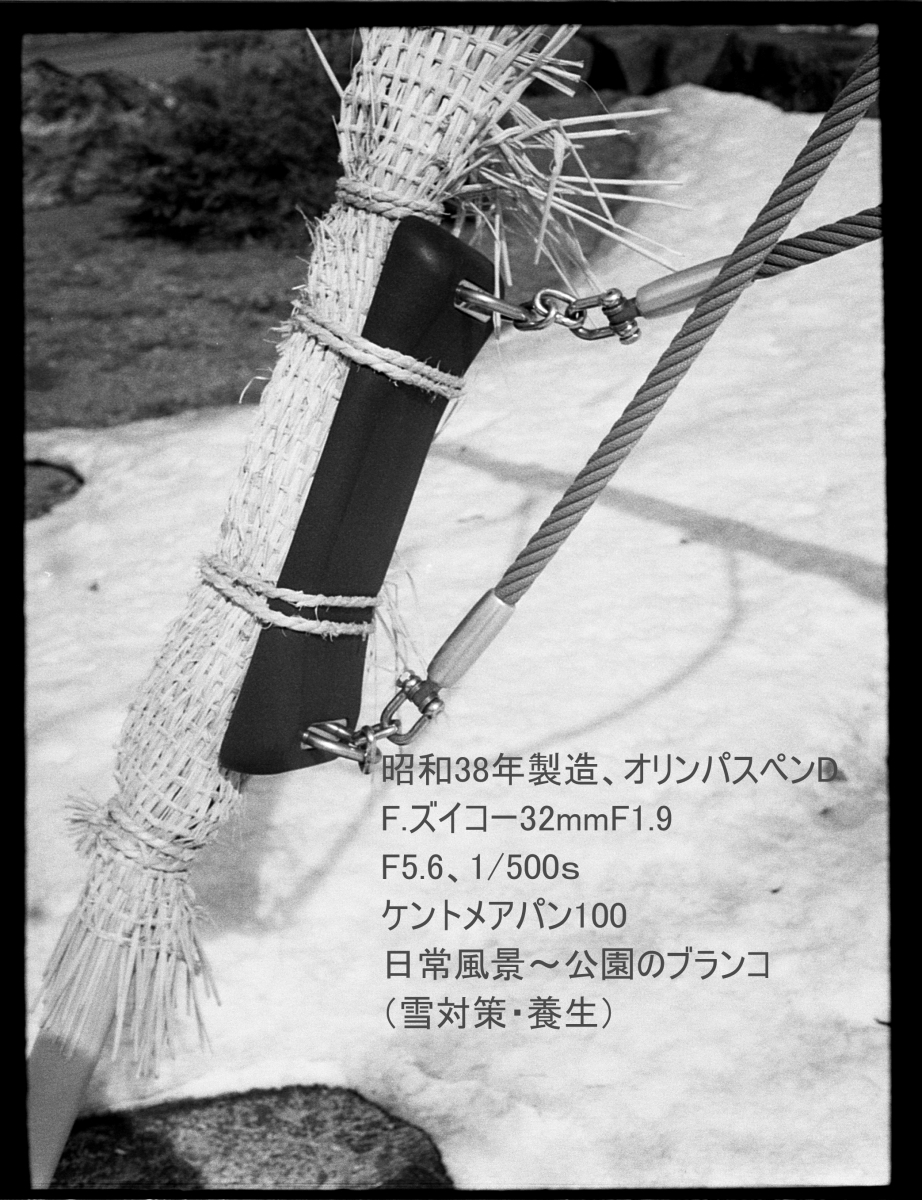 昭和38年製造 オリンパスペンD 　モノクローム作例掲載　ゆうパック着払い（60サイズ）_１ｍ目測、ブランコ冬囲い中でした。
