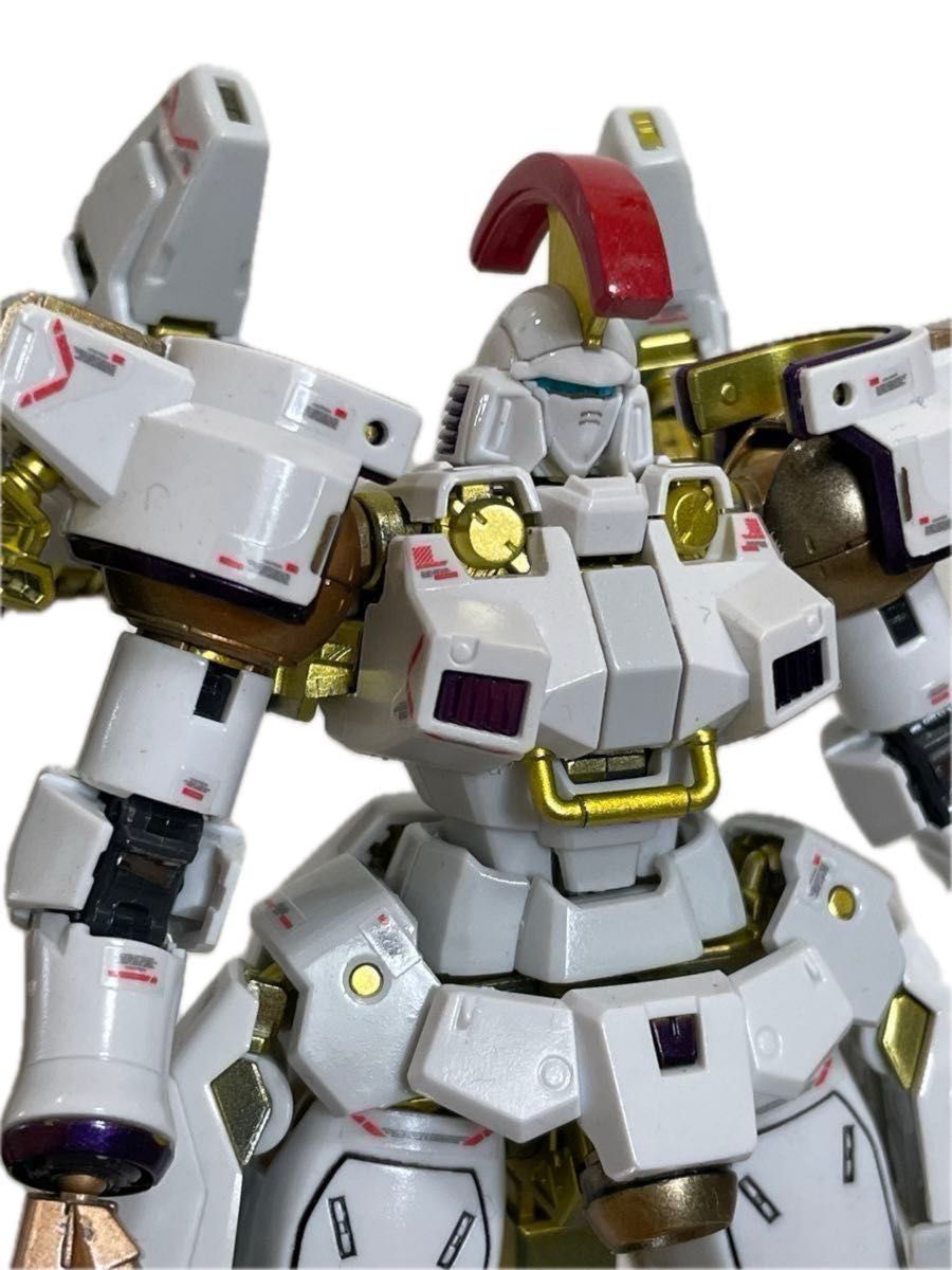 完成品　塗装済　RG OZ-00MS トールギス EW ガンプラ　ガンダム