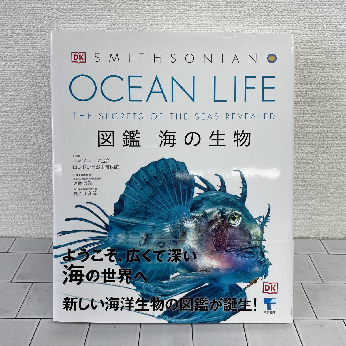 E010-T8-1262 SMITHSONIAN OCEAN LIFE 図鑑 海の生物 東京書籍 スミソニアン協会 ロンドン自然博物館 本の画像1