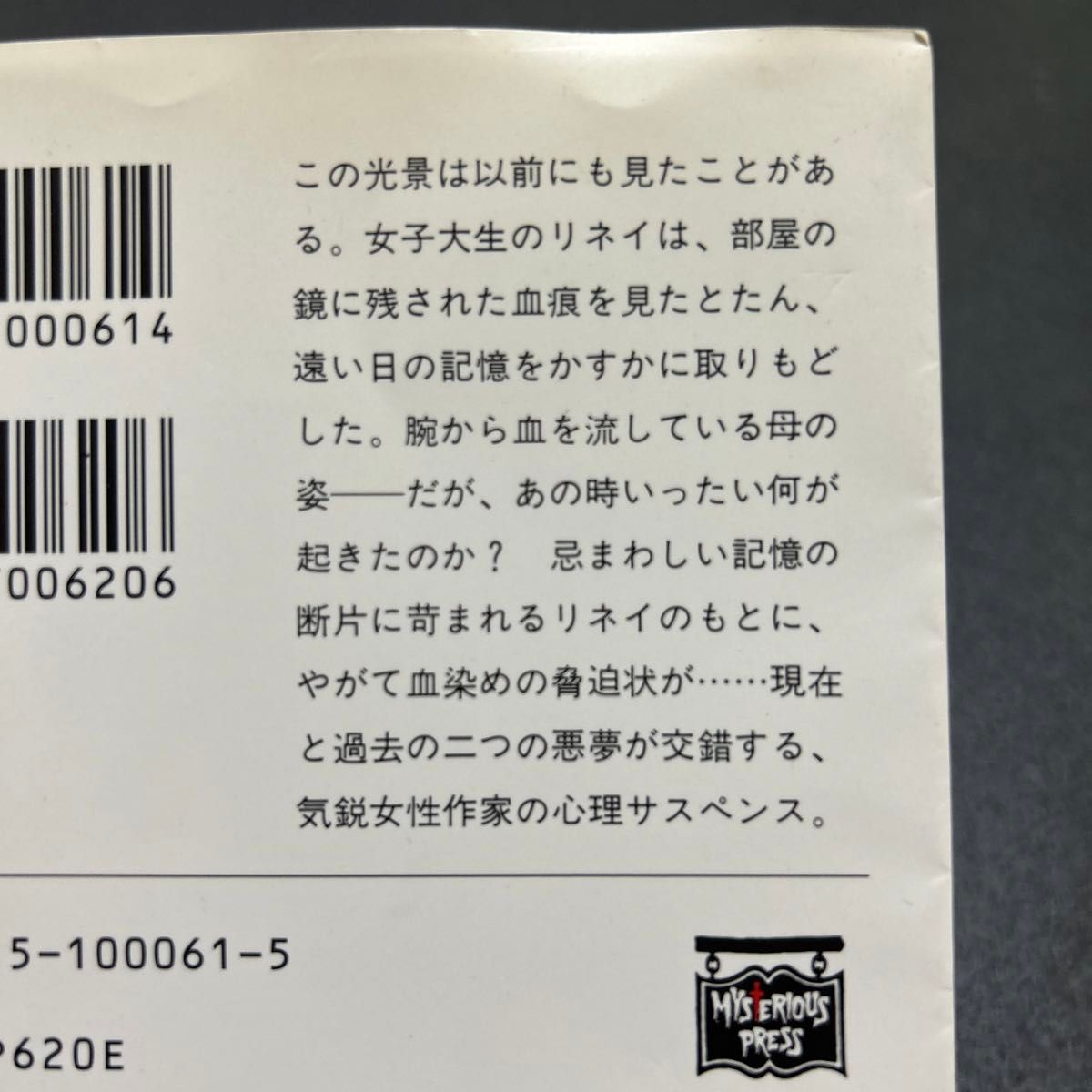 閉ざされた部屋の記憶 （ミステリアス・プレス文庫　６１　ハヤカワ文庫） デイドラ・Ｓ・ライケン／著　羽田詩津子／訳