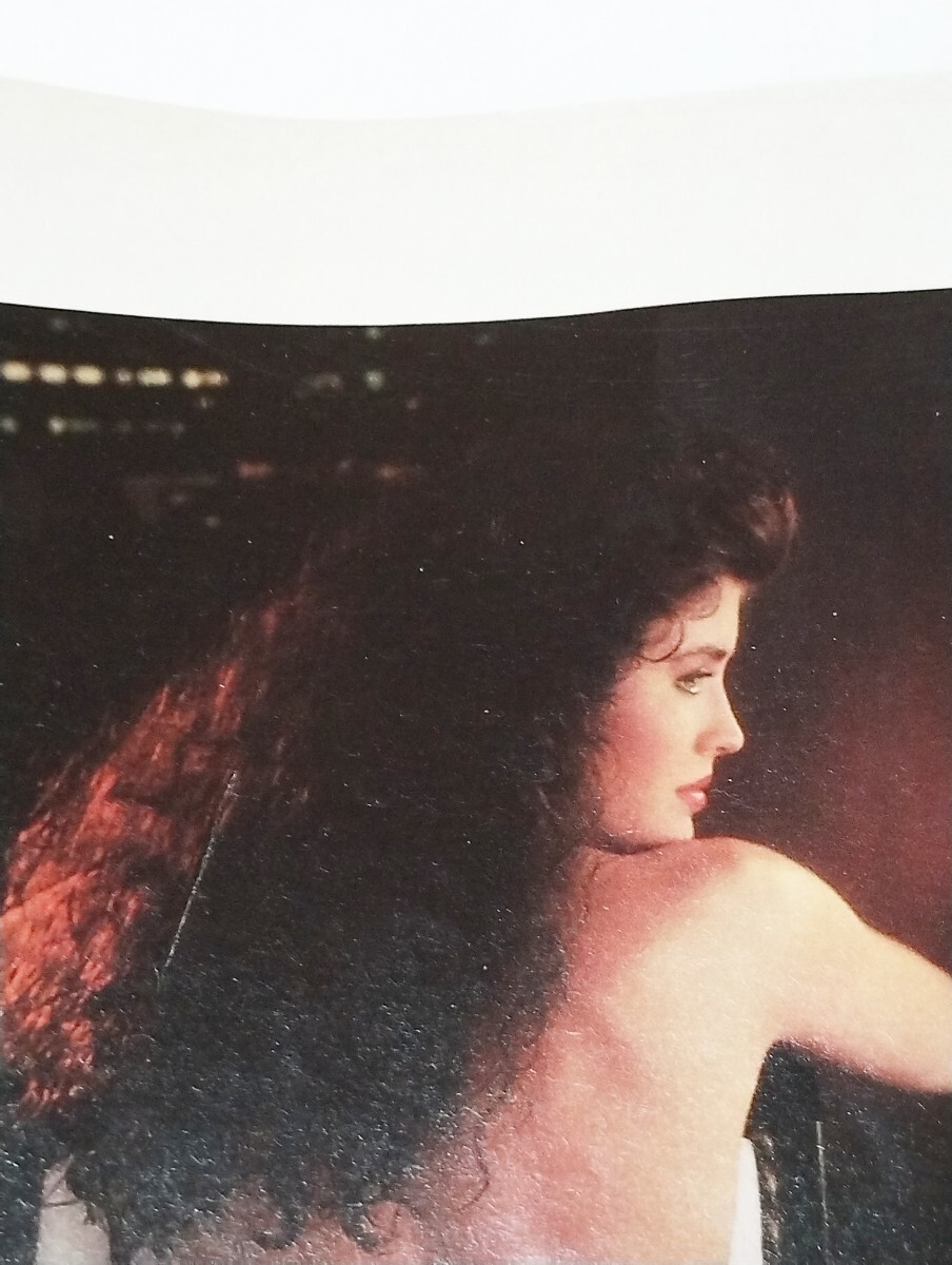 e プレイボーイ PLAYBOY 　1991年9月号　雑誌 　女性　海外　洋書　グラビア　セクシー 女優　ブロンド　金髪　成人_画像9