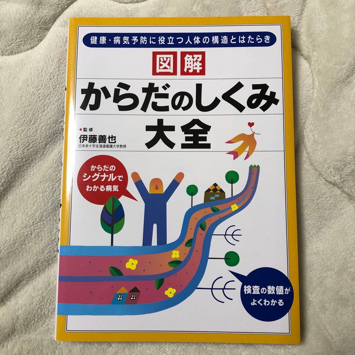 図解からだのしくみ大全　健康・病気予防に役立つ人体の構造とはたらき 伊藤善也／監修