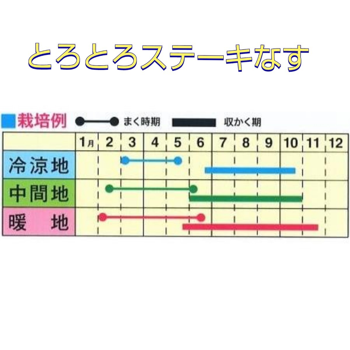 【６粒】とろとろステーキなす １果500g以上の大型品種♪ トロトロ絶品の味わいをお楽しみください♪ 送料73円〜の画像2