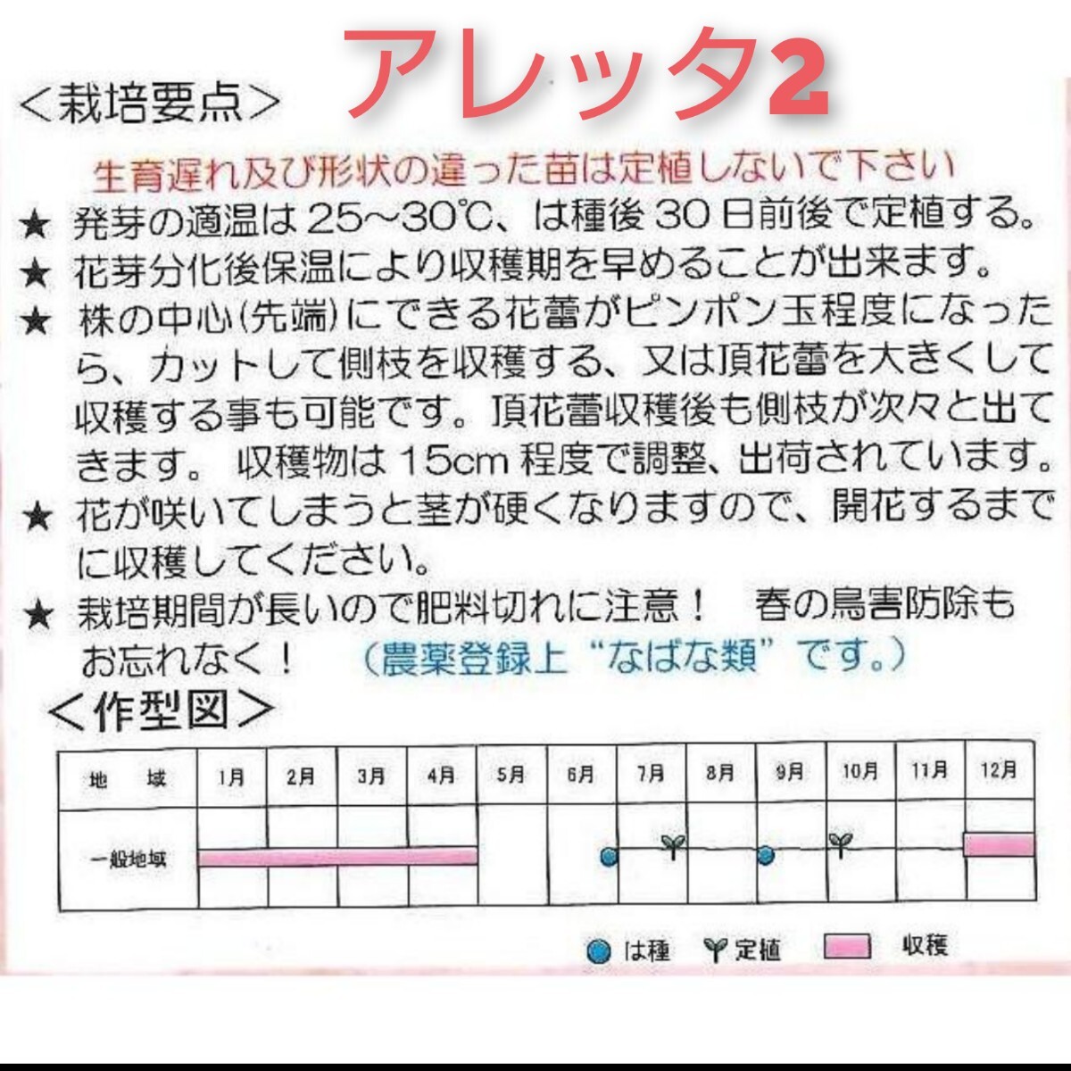 【15粒】茎ブロッコリー『アレッタ２』葉・茎・つぼみ全部食べられます♪　長〜く収穫出来ます♪　送料73円〜_画像3