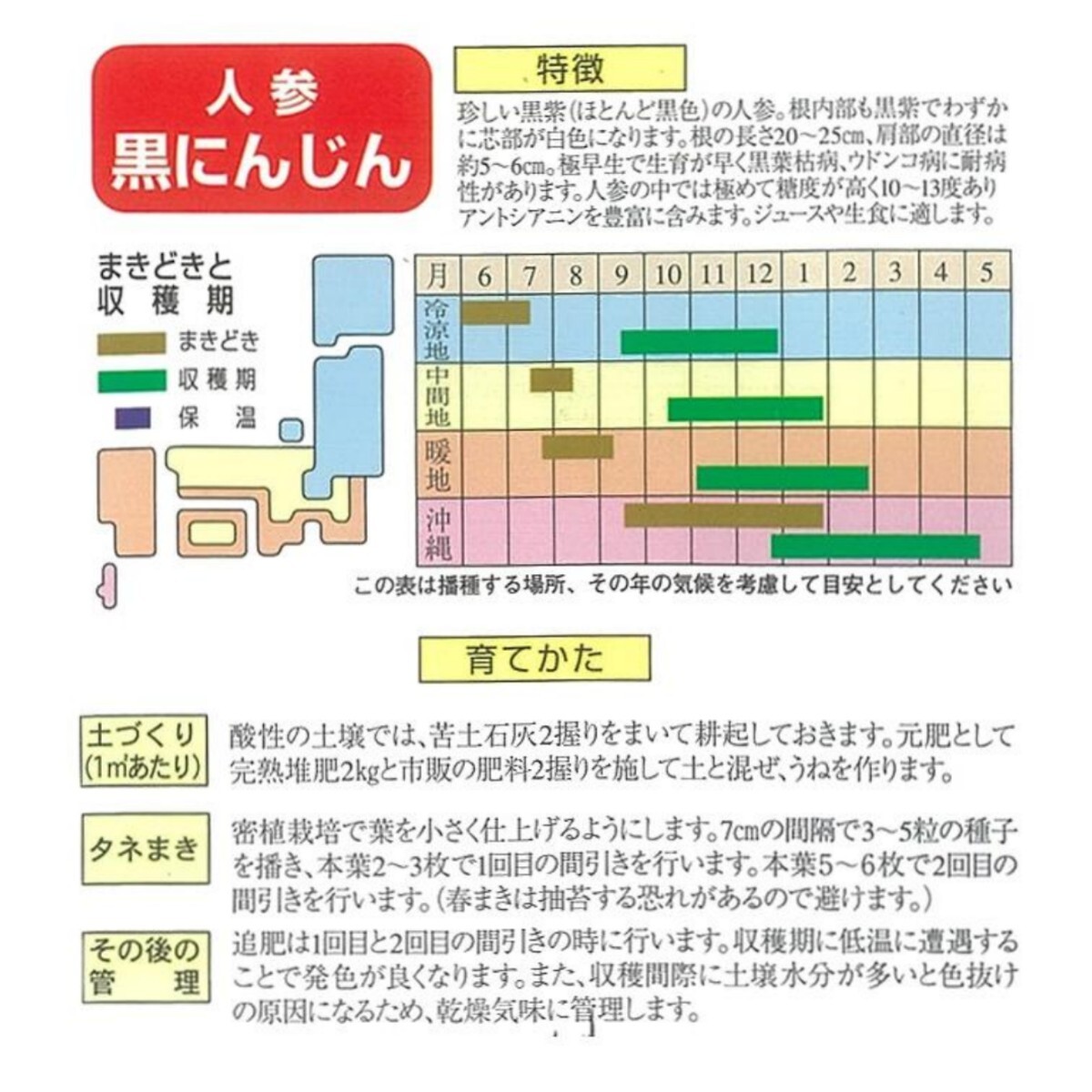 【約100粒】黒にんじん サラダ・ジュースに人気♪ 珍しい黒紫色♪ 極早生 約2.4g以上でお送りします♪ 送料73円〜の画像2