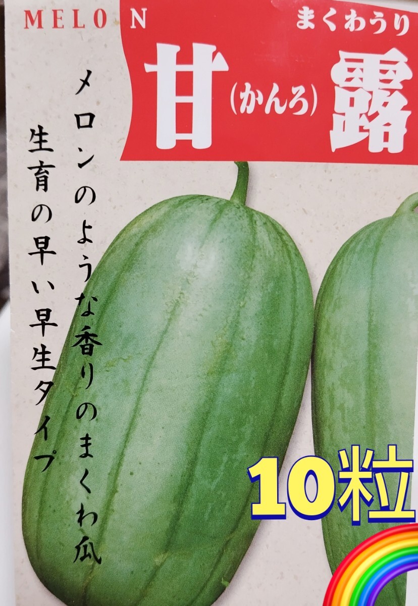 【10粒】まくわうり『甘露』早生　メロンのような香りのまくわ瓜♪　送料73円〜_画像1