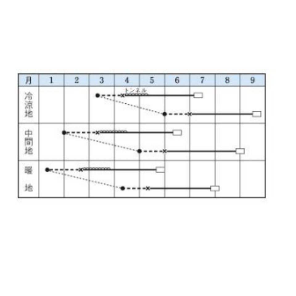 【５粒】つるなしカボチャ 省スペースで栽培♪ 送料73円〜の画像5