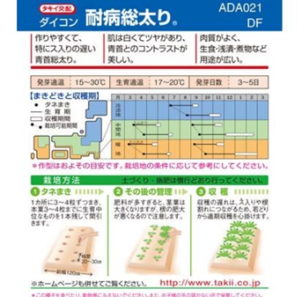 【約200粒】ダイコン『耐病総太り』 約200粒(約5.5g以上)お入れします♪ 送料73円〜の画像3