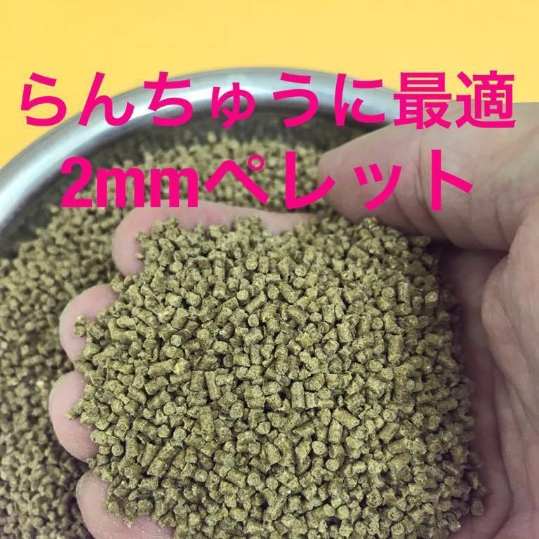 10kg入り らんちゅうに最適 2㎜ペレット 錦鯉 金魚 小型熱帯魚にも使えます お徳用サイズ