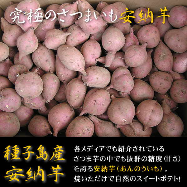 A品 種子島産安納芋SSサイズ5キロ 農薬不使用 無化学肥料 ワケアリじゃない_画像1