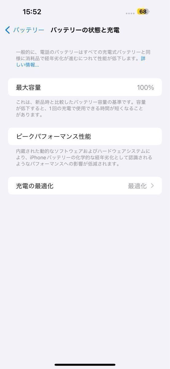 海外版 シャッター音無し 新品同様 iPhone15 Pro Max 256GB ブルーチタニウム 