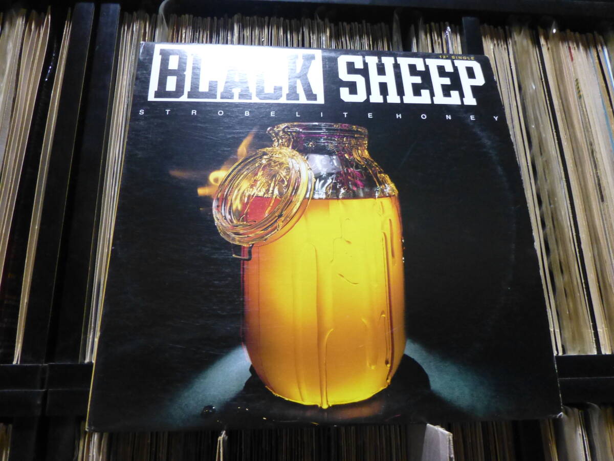 【us original】black sheep/strobelite honey_画像1