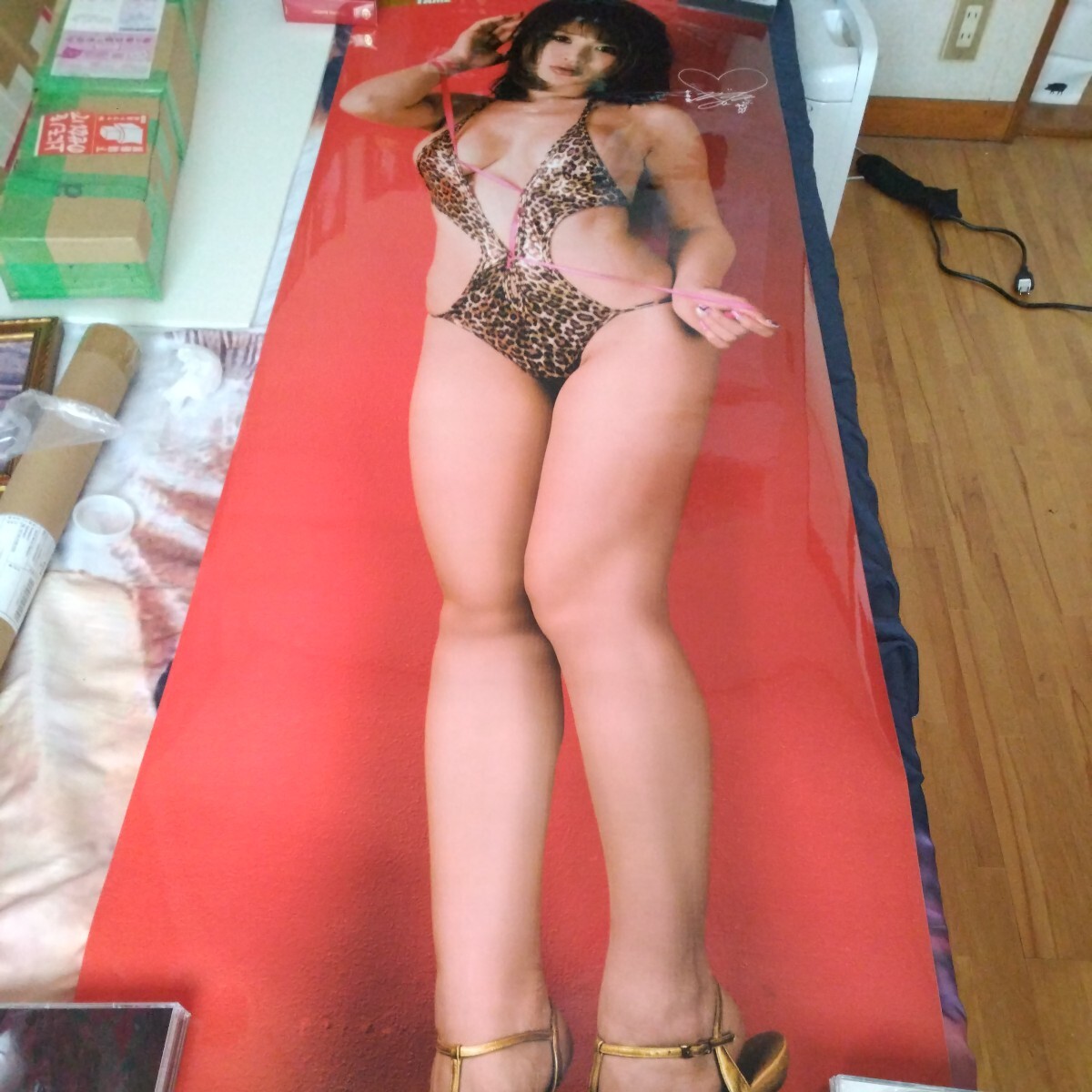  hand island super deformation swimsuit life-size poster regular goods..