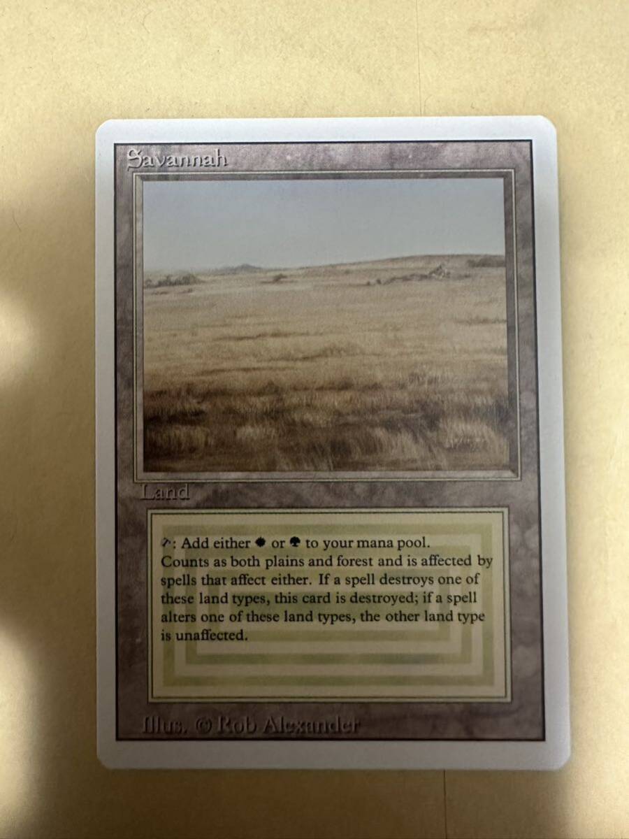 極美品　Savannah mtg