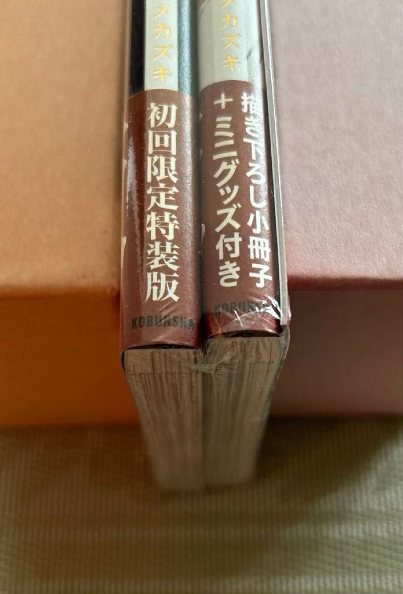 初回限定特装版 ヒズ・リトル・アンバー　ナツメカズキ