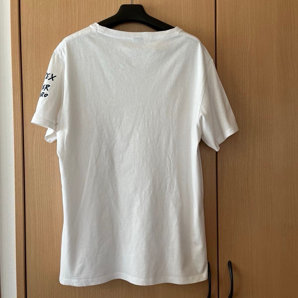 AVIREX × BOXER JUNTARO  コラボ　Tシャツ　フロッグマン  半袖  