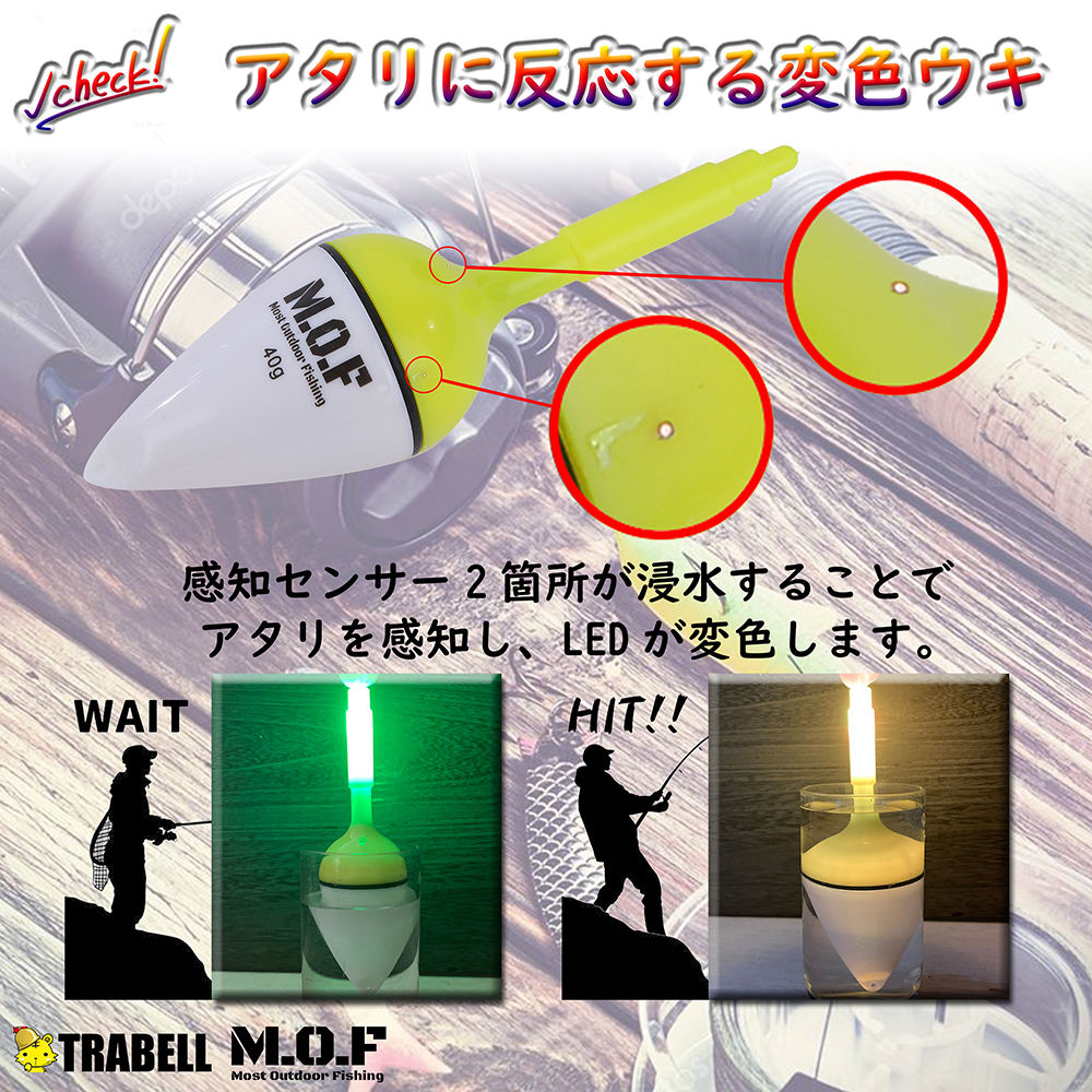 40g/50g混合！変色電気ウキ 10個セット 電池付属！沈むと色が変わる LED 投げサビキ 飛ばしウキ かご 撒き餌