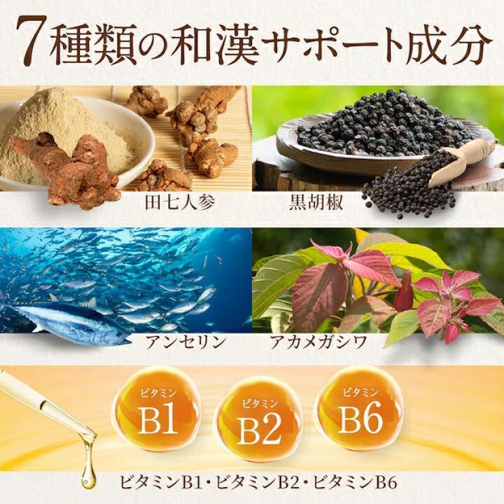 【新品】和漢の森 菊の花 ＆ カテキンの恵み　60粒　2袋　セット