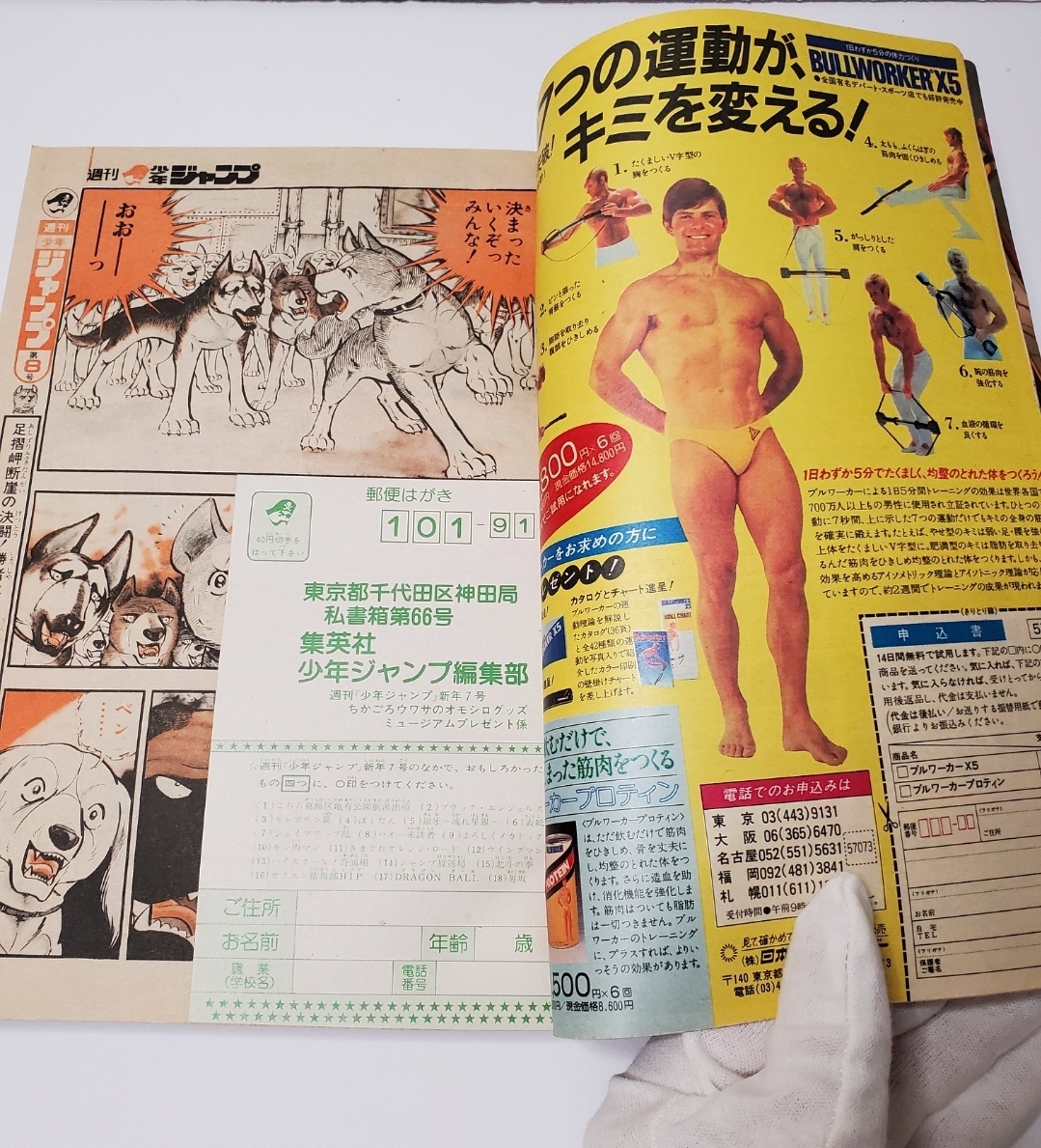 週刊少年ジャンプ ドラゴンボール表紙 1985年7号 の画像7