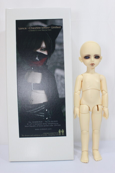 BJD CROBI /Lance Cheshire kitten A-23-11-01-162-NY-ZA_画像7