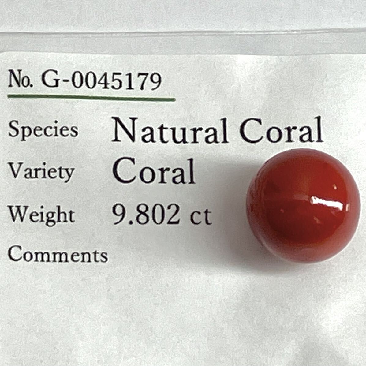 ●天然本珊瑚1.9g●a 9.802ct 約11.60×10.81mm ルース 裸石 宝石 coral コーラル さんご 丸玉 サンゴ DB0/EA0 テEA5_画像6