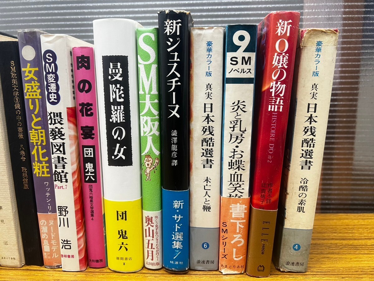 C28 novel SM novels 20 pcs. summarize .... woman .. six genuine real Japan remainder . selection of books S Osaka person woman body illusion .SX27 number world SM literature selection of books etc. 