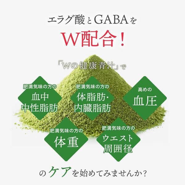 【新品未開封】 Ｗの健康青汁 新日本製薬 機能性表示食品 青汁 2箱 正規品 体脂肪 中性脂肪 血圧 エラグ酸 GABA 乳酸菌 の画像6