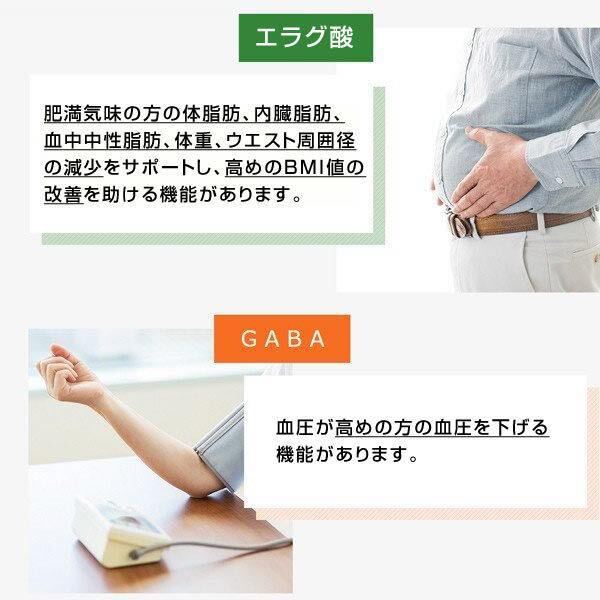 【新品未開封】 Ｗの健康青汁 新日本製薬 機能性表示食品 青汁 2箱 正規品 体脂肪 中性脂肪 血圧 エラグ酸 GABA 乳酸菌 の画像7