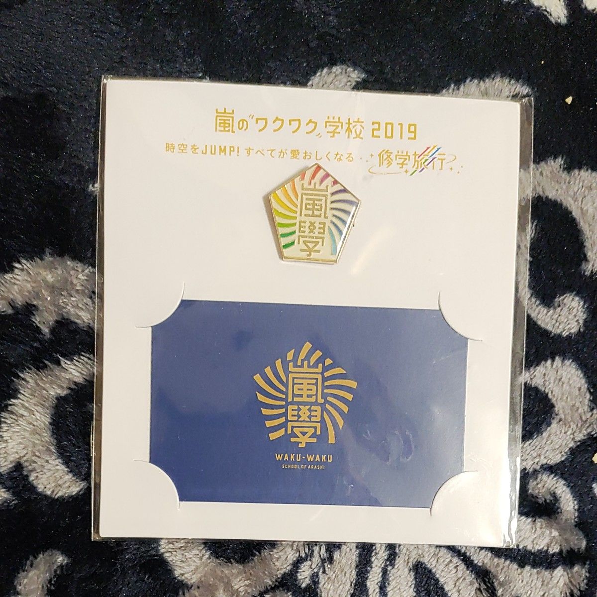 嵐のわくわく学校　2019　ピンバッチ