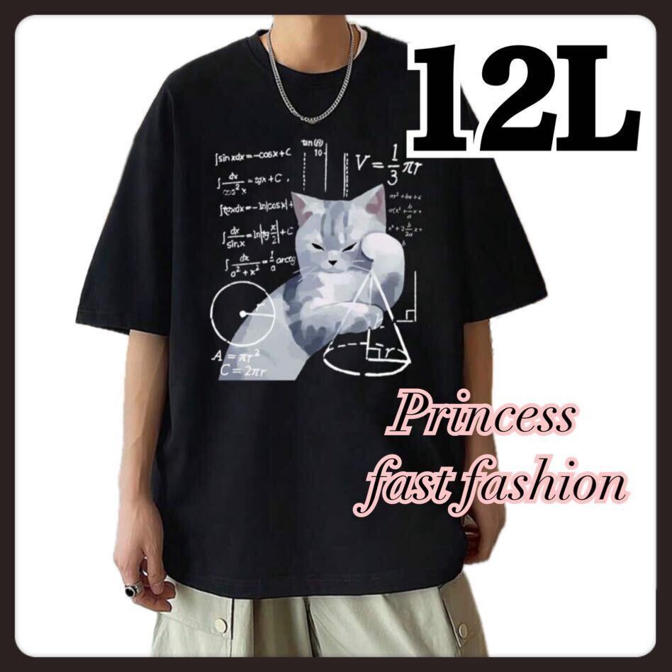 【12L】理数系 猫ちゃん＊半袖Tシャツ＊大きいサイズ＊メンズ＊レディース_画像1
