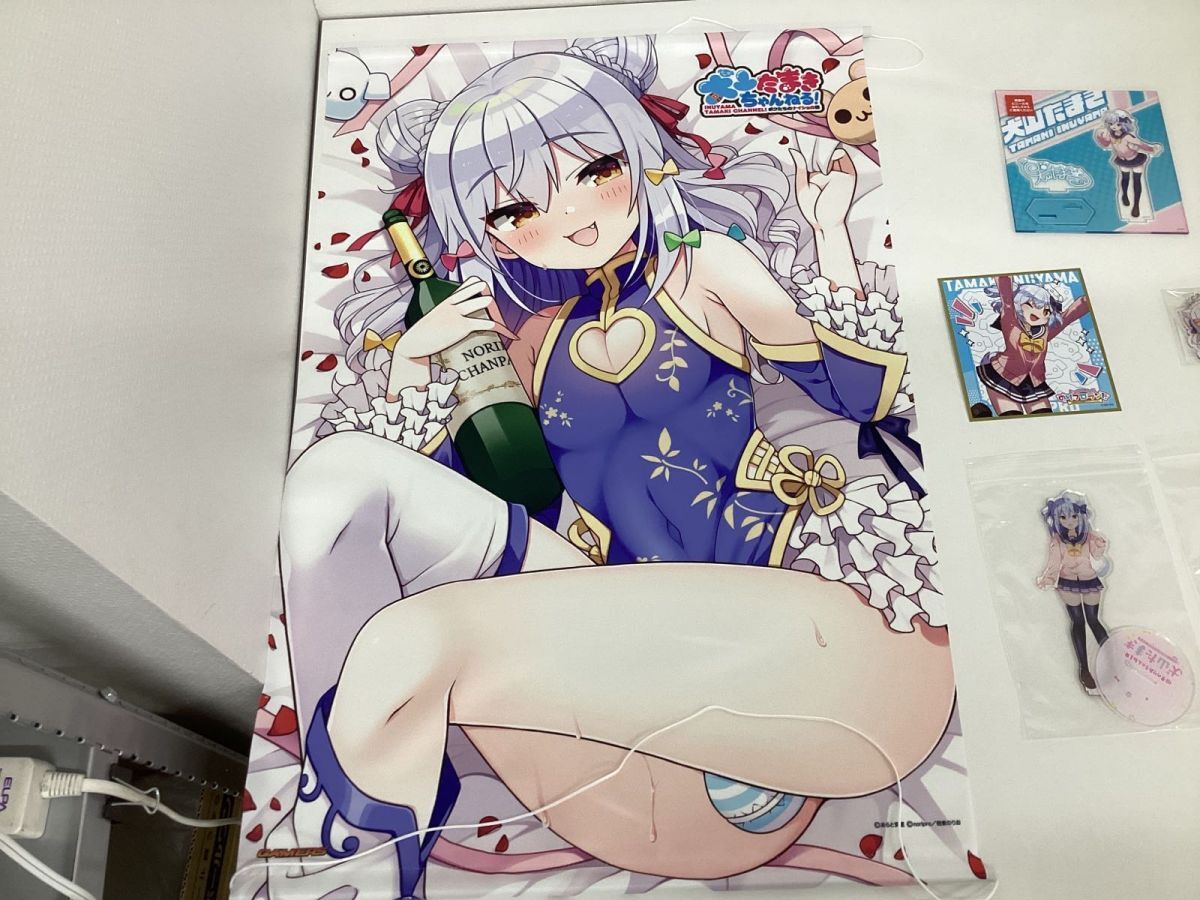 [ present condition ]Vtuber dog mountain Tama . goods set sale tapestry acrylic fiber stand acrylic fiber key holder other / virtual YouTuber