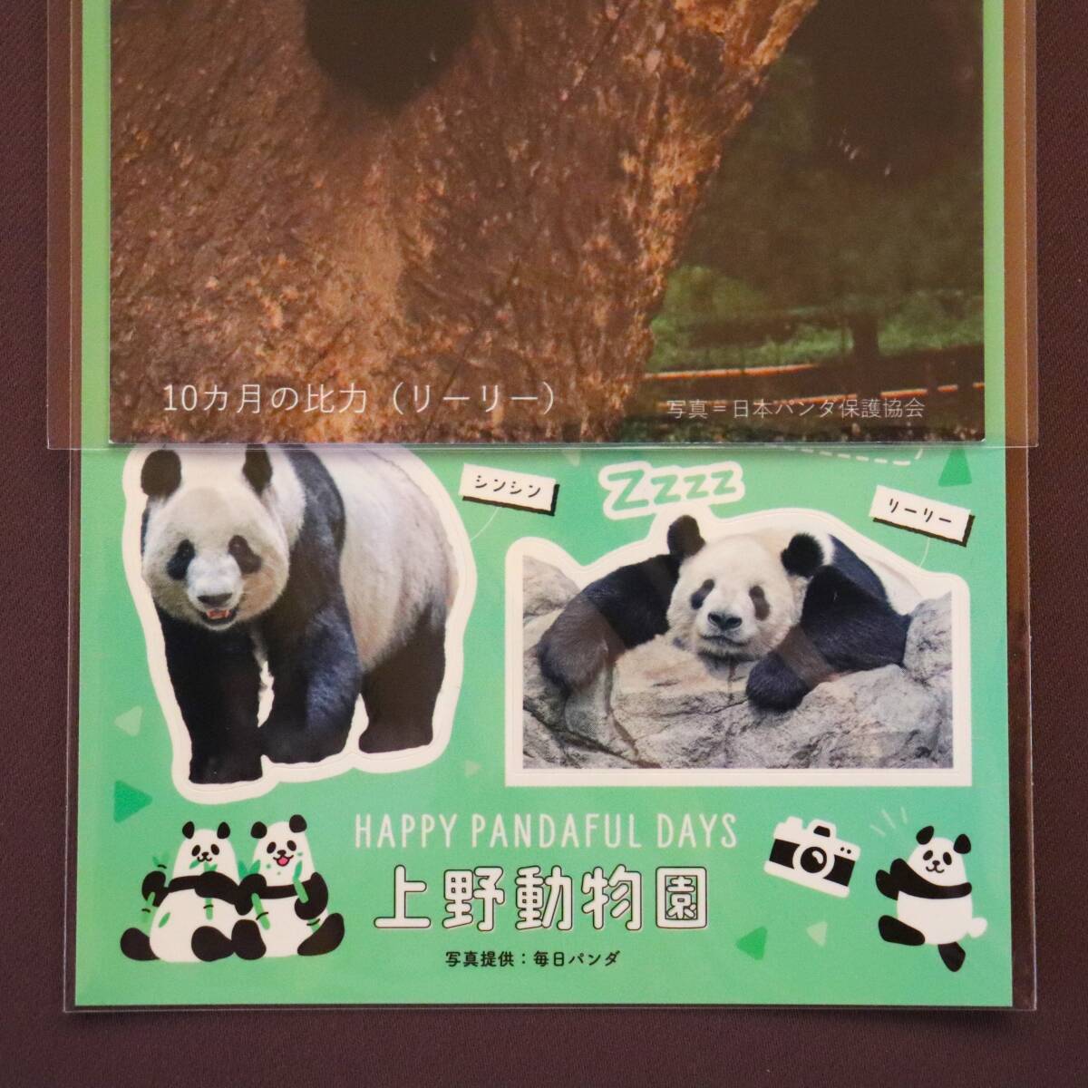 【比力/力力】 日本パンダ保護協会 ビーリー リーリー ポストカード みんなの 上野動物園 vol.62 毎日パンダ 松坂屋 ステッカー シンシンの画像3