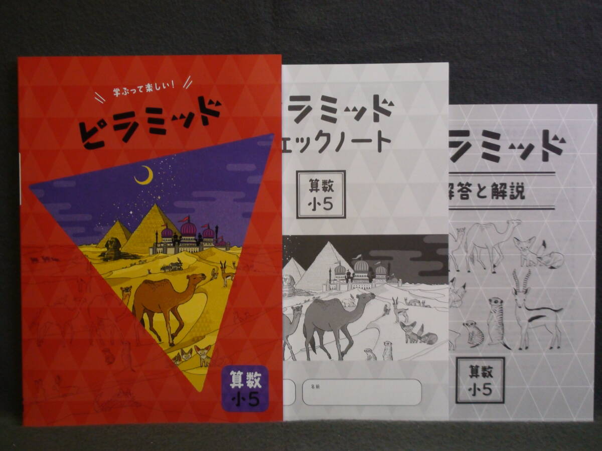 ★ 即発送 ★ 新品 最新版 ピラミッド 算数 小５ 解答・確認テスト付 ５年_画像1