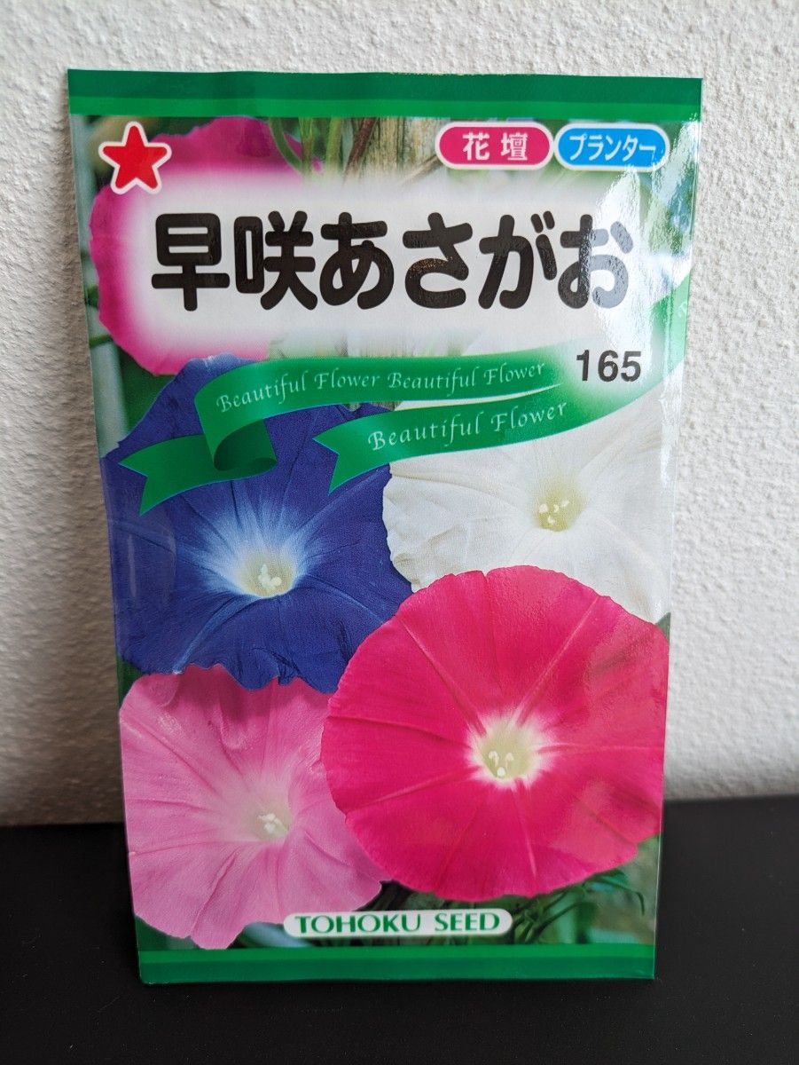 トーホク花の種M☆早咲きあさがお＆マリーゴールド☆２種５袋☆園芸ガーデニング